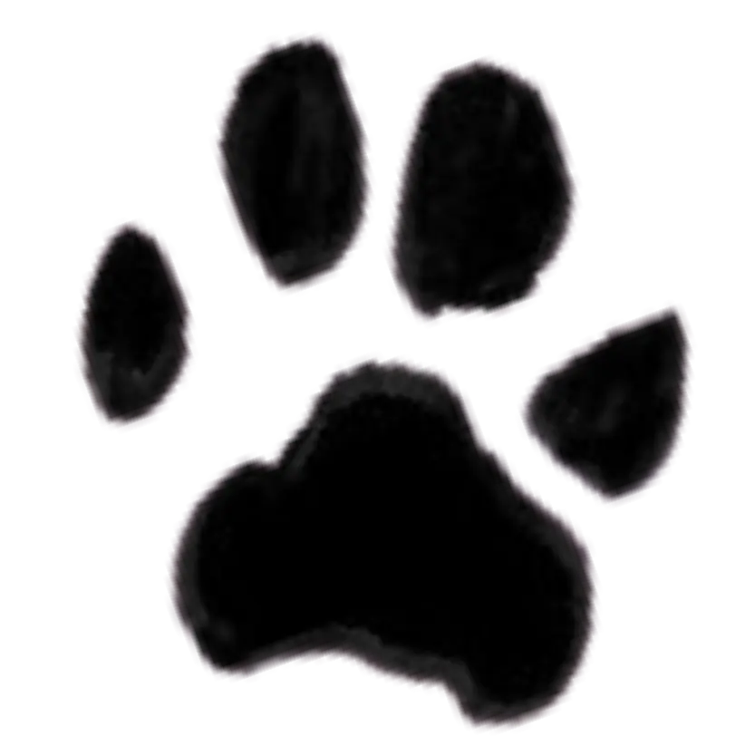 Cavy logo